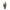 scrolling text