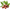scrolling text